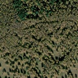 Satellite imagery of Břevniště, CZ