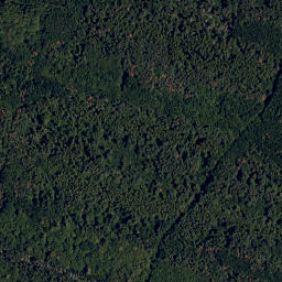 Satellite imagery of Steinerne Wand, AT