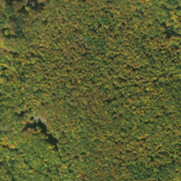 Satellite imagery of survey_point, SK