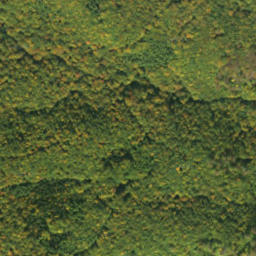 Satellite imagery of survey_point, SK