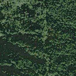Satellite imagery of The Palisades, US