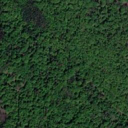 Satellite imagery of Podmolí [Havraníky], CZ