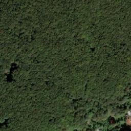 Satellite imagery of Žalostina, CZ