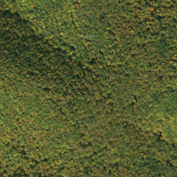 Satellite imagery of survey_point, SK