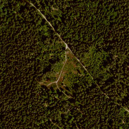 Satellite imagery of Kienzelberg, DE