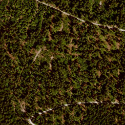 Satellite imagery of Kienzelberg, DE