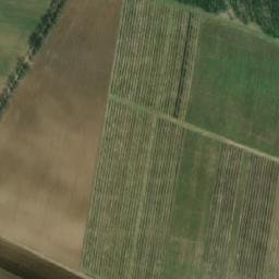 Satellite imagery of Petrovická Pustina [Božice-České Křídlovice], CZ