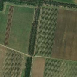 Satellite imagery of Petrovická Pustina [Božice-České Křídlovice], CZ