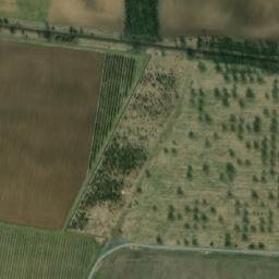 Satellite imagery of Petrovická Pustina [Božice-České Křídlovice], CZ