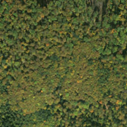 Satellite imagery of survey_point, SK