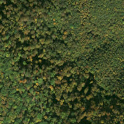 Satellite imagery of survey_point, SK