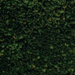 Satellite imagery of Eichberg, DE