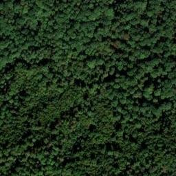 Satellite imagery of Lemberg, DE