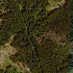 Satellite imagery of Kamenná [Nové Údolí], CZ