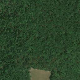 Satellite imagery of Pulgarská stráň (obora Bulhary), CZ