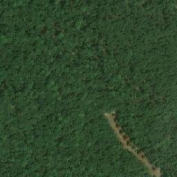 Satellite imagery of Pulgarská stráň (obora Bulhary), CZ