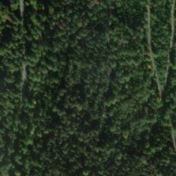 Satellite imagery of Tannberg, DE