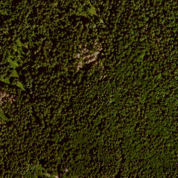 Satellite imagery of Špičák [Stožec], CZ