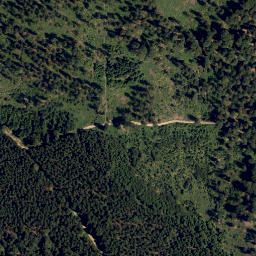 Satellite imagery of Wieningsberg, AT