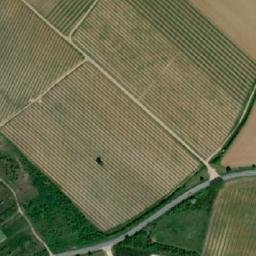 Satellite imagery of [Havraníky] church t., CZ