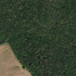 Satellite imagery of survey_point, SK