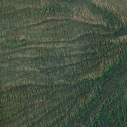 Satellite imagery of Taylor Ridge, US