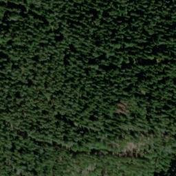 Satellite imagery of Brennerberg, DE