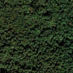 Satellite imagery of Hohe Warte, DE