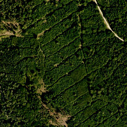 Satellite imagery of Schutterberg, DE