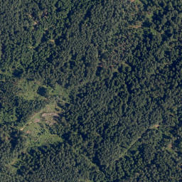 Satellite imagery of Steinberg, AT