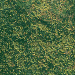 Satellite imagery of Breziny, SK