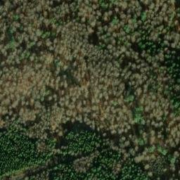 Satellite imagery of Rauhau, DE