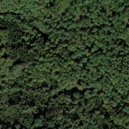 Satellite imagery of Hohe Warte, DE