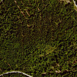 Satellite imagery of Rollmannsberg, DE