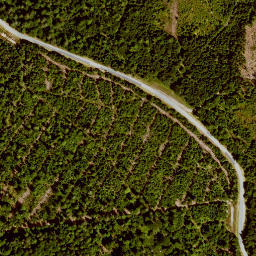 Satellite imagery of Rollmannsberg, DE