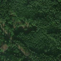 Satellite imagery of Jelenka[Nová Ves nad Lužnicí], CZ