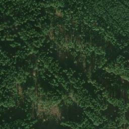 Satellite imagery of Jelenka[Nová Ves nad Lužnicí], CZ