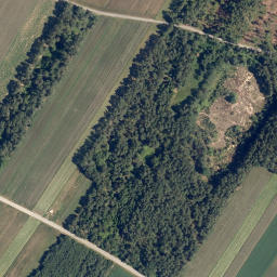 Satellite imagery of Steinberg, AT