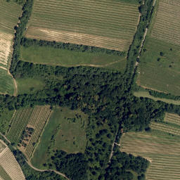 Satellite imagery of Hraběcí hora [Hnanice], CZ
