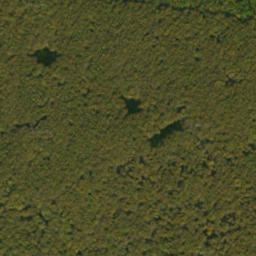 Satellite imagery of survey_point, SK