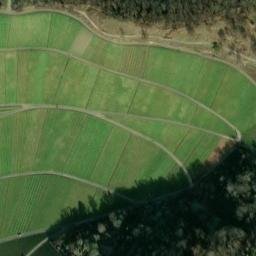 Satellite imagery of Hasenholz, DE