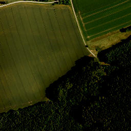 Satellite imagery of survey_point, CZ
