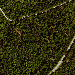 Satellite imagery of Rollmannsberg, DE