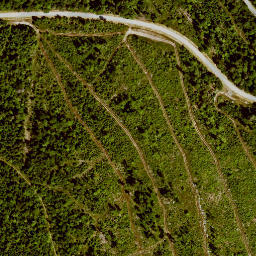 Satellite imagery of Rollmannsberg, DE