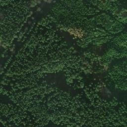 Satellite imagery of Jelenka[Nová Ves nad Lužnicí], CZ