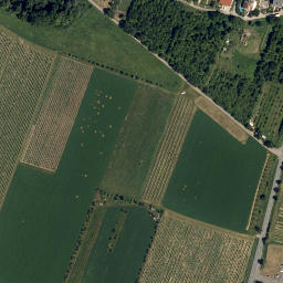 Satellite imagery of [Hnánice] church t., CZ