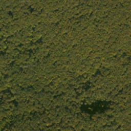 Satellite imagery of survey_point, SK