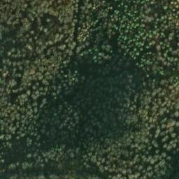 Satellite imagery of Schloß Solitude, DE