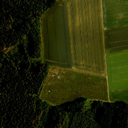 Satellite imagery of survey_point, CZ