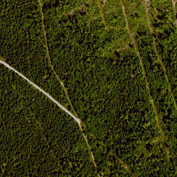 Satellite imagery of Rollmannsberg, DE